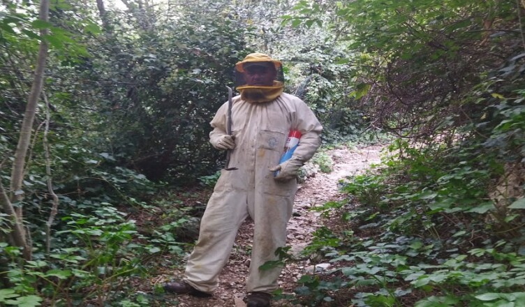 bonifica calabroni castello san casto