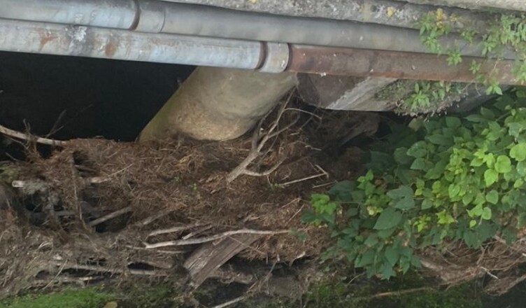 ponte carnello 1