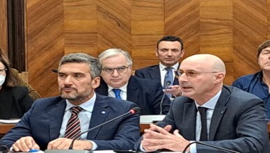 Fiorin e Ulgiati