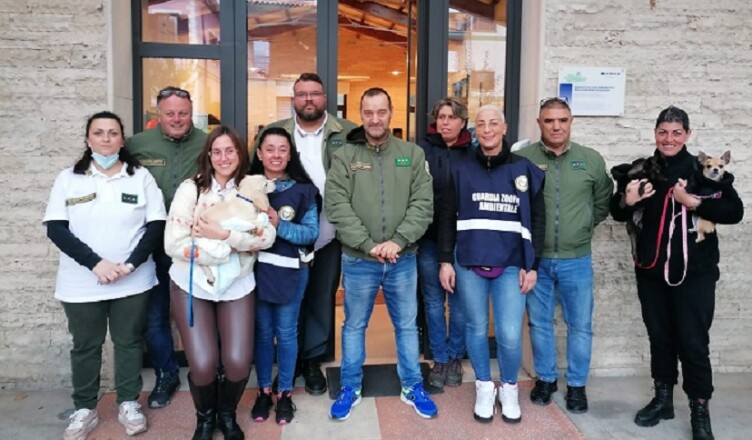 microchippatura a Subiaco