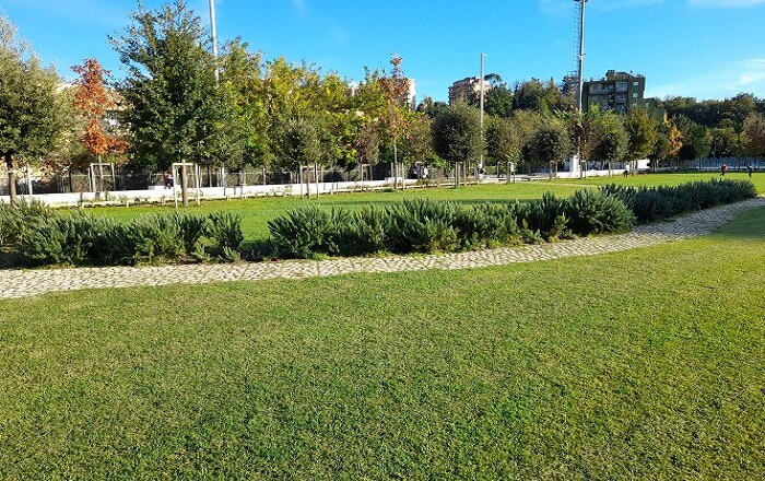 piantumazione parco matusa FR