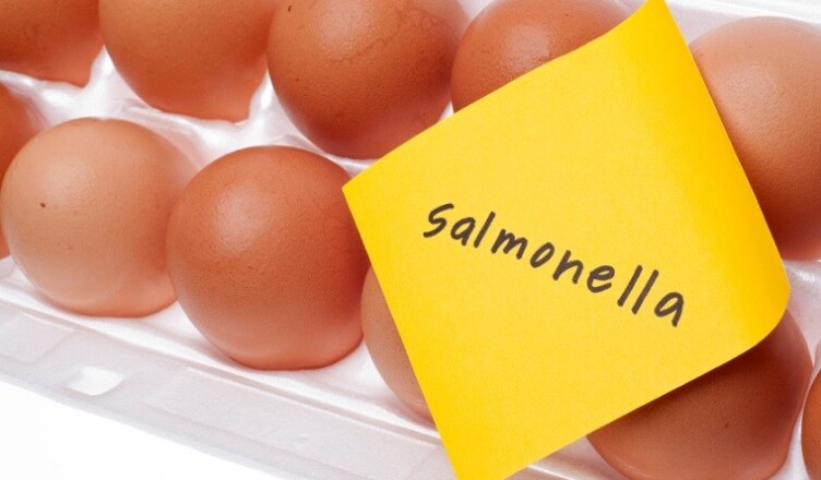 Eggs Can Carry Salmonella Concept with Brown Egg and Yellow Note.
