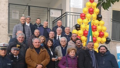 Albero sicurezza foto gruppo