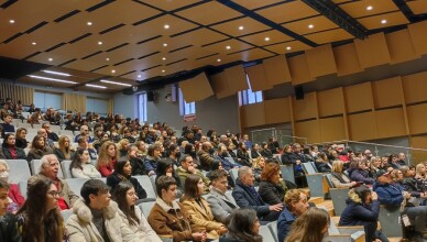 platea solidiamo