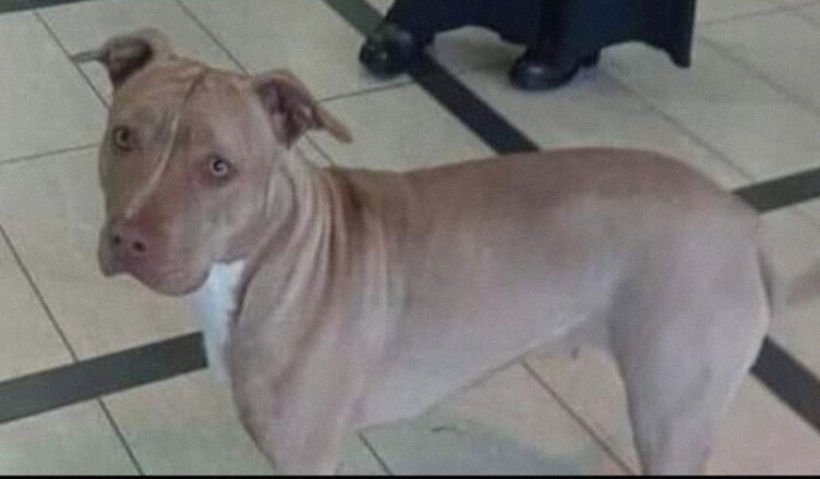 KIRA