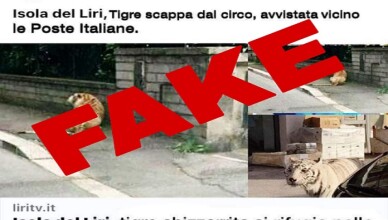 fake news logo liritv
