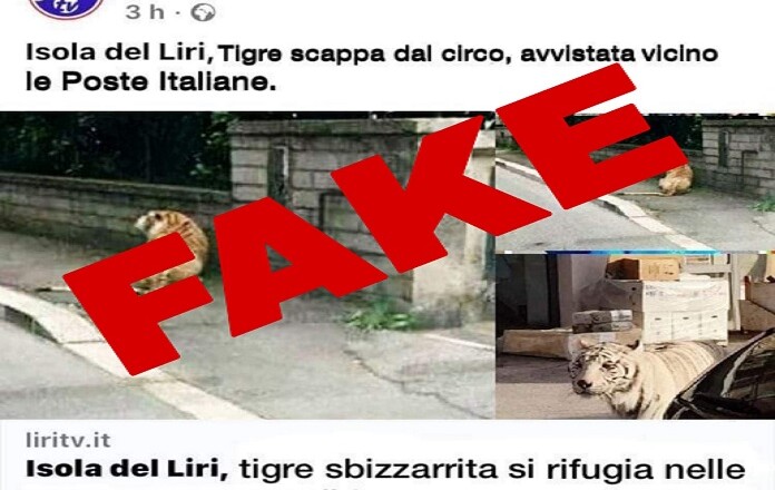 fake news logo liritv