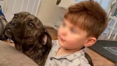 Bambino di 3 anni morto stroncato dallo Streptococco A