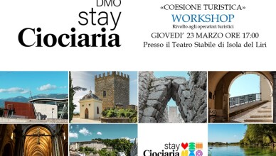 DMO STAYCIOCIARIA
