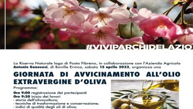 Giornata di avvicinamento all’olio extravergine di oliva....