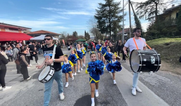 Lion Cheer Frosinone