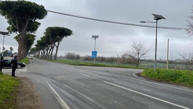 Ninfina Rotatoria 6