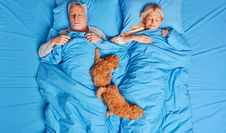 Qualità del sonno e Alzheimer