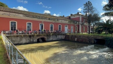 Scuola-3