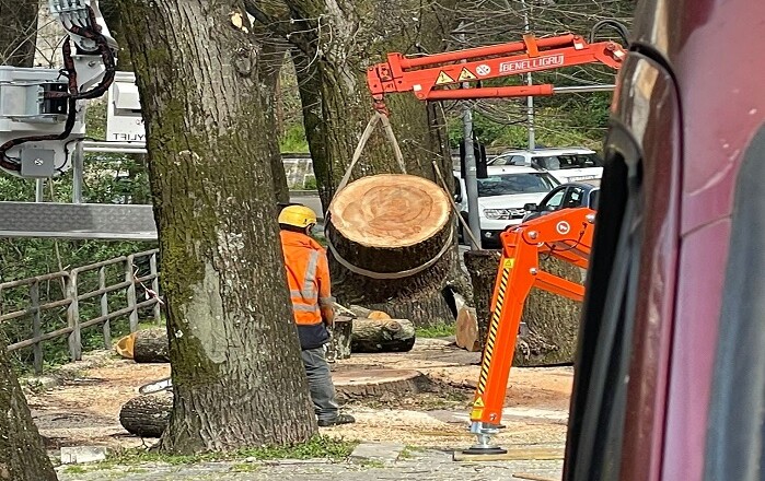 potatura alberi fr