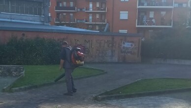 Frosinone, proseguono gli interventi di pulizia e igiene sulle aree verdi