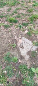 dopo manifestazione al Parco Valente2