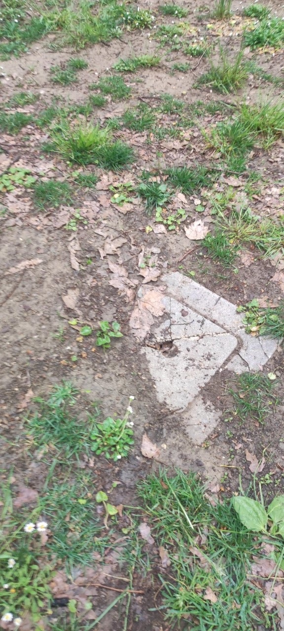 dopo manifestazione al Parco Valente2