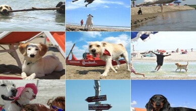 25 anni di Baubeach