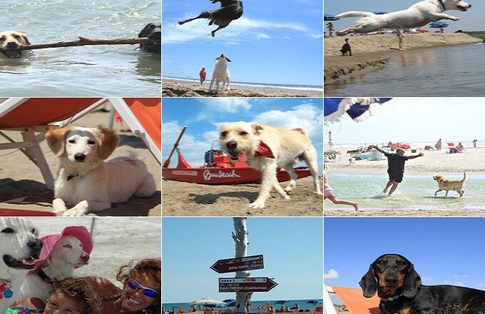 25 anni di Baubeach