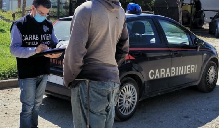 CONTROLLO NIL