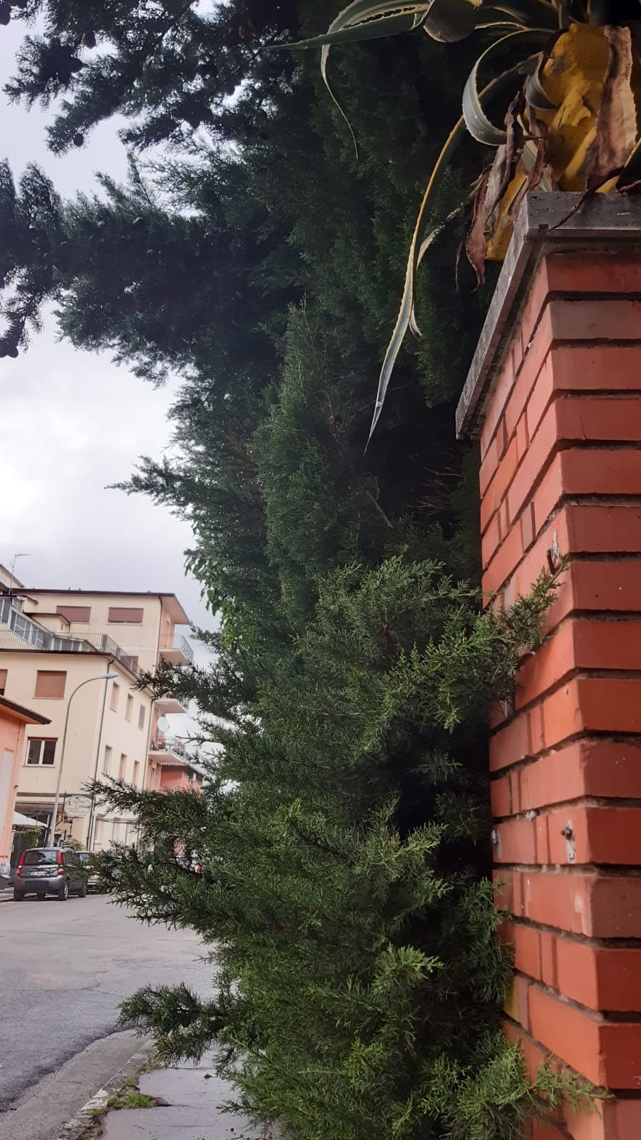 VIA SANT'AMASIO SORA 1