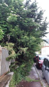 VIA SANT'AMASIO SORA 3