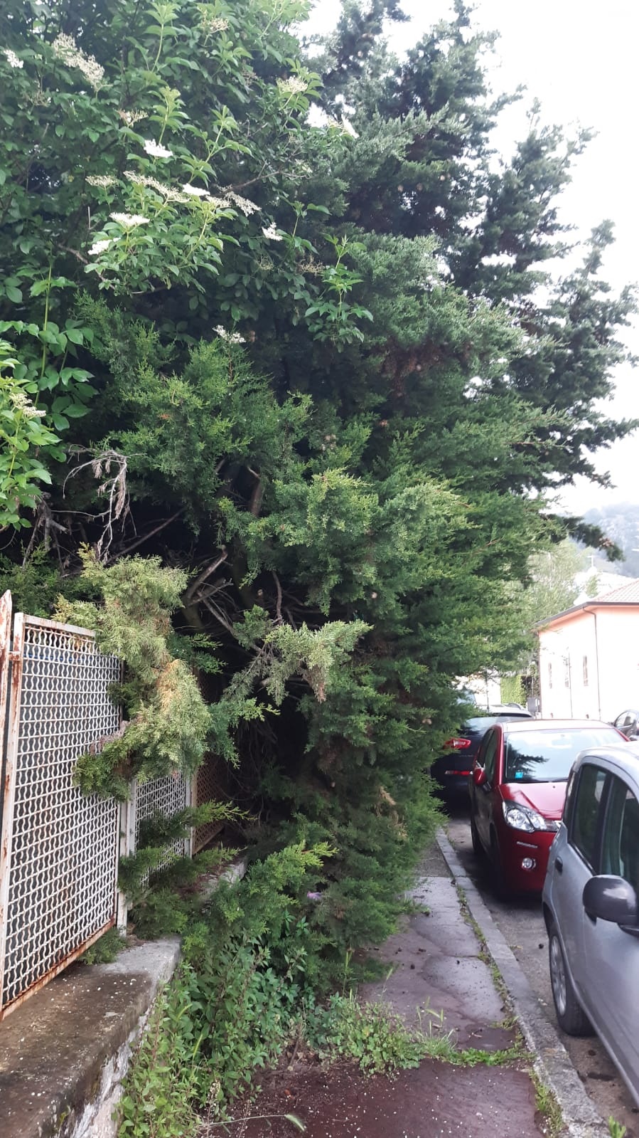 VIA SANT'AMASIO SORA 3