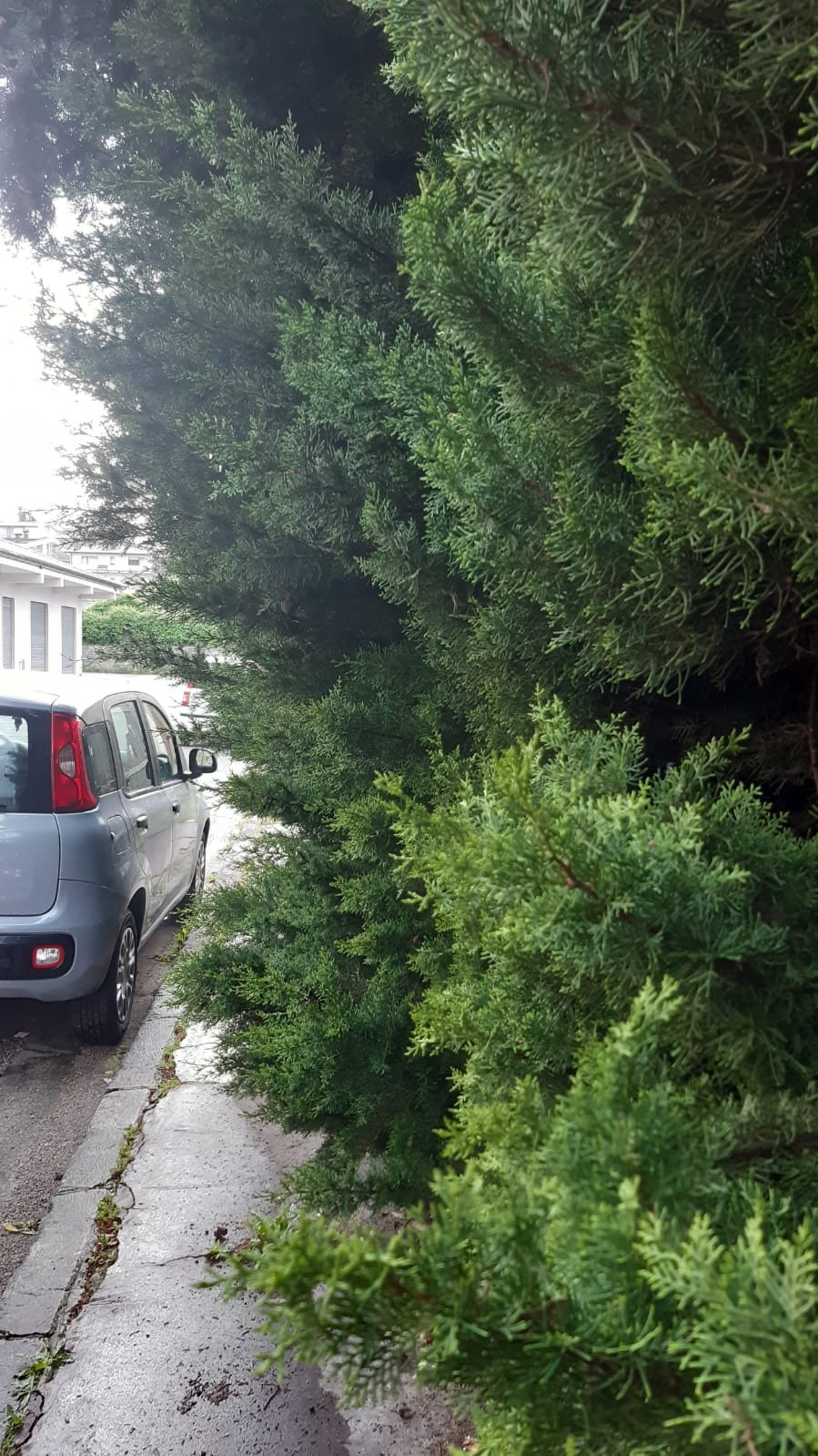 VIA SANT'AMASIO SORA 4