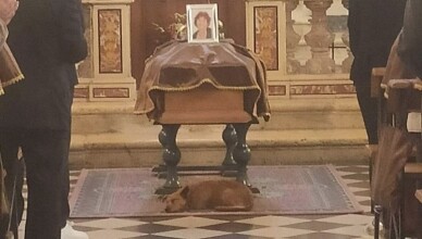 cane si accuccia sotto la bara della sua padrona
