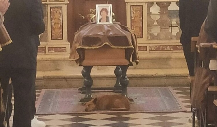 cane si accuccia sotto la bara della sua padrona