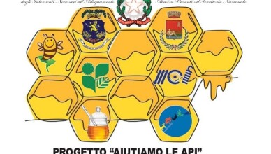 fare verde api