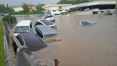 terenzio auto arce...