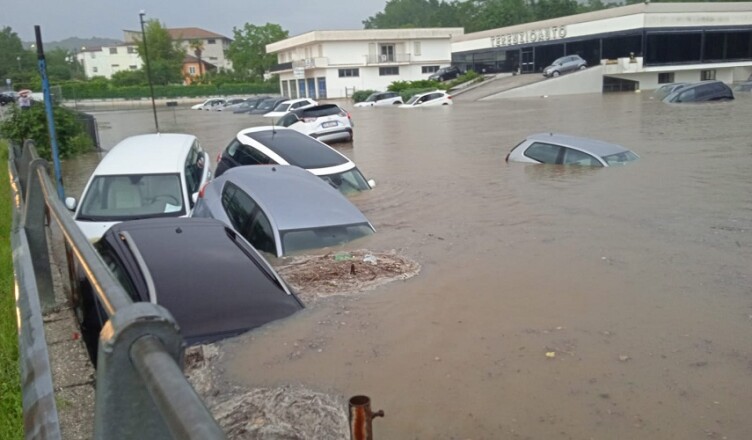 terenzio auto arce...