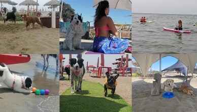 23 al 25 giugno al Baubeach®