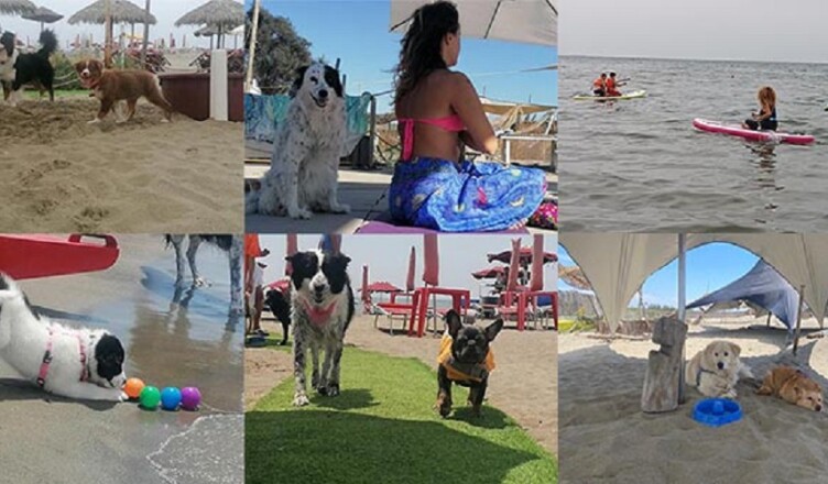 23 al 25 giugno al Baubeach®