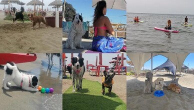 Baubeach® il FESTIVALBAU