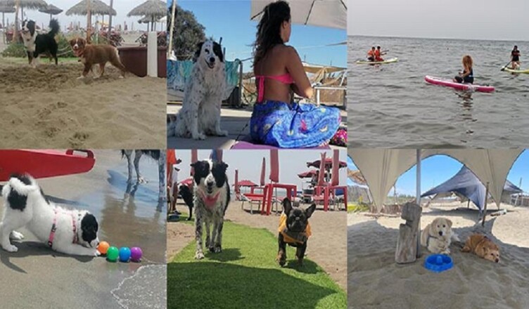 Baubeach® il FESTIVALBAU