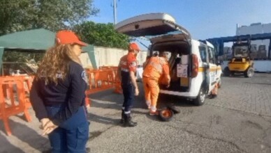 Seconda spedizione AVESS Emilia Romagna