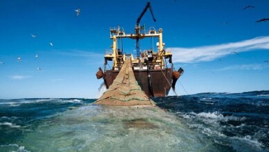 pesca a strascico