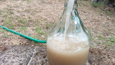 Acquaccia dai rubinetti