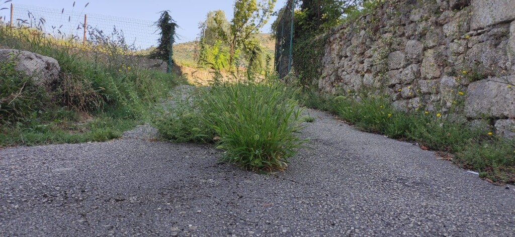centro diurno disabili Arpino 2