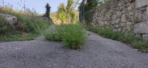 centro diurno disabili Arpino 2