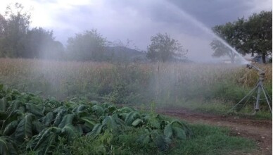 irrigazione 2...