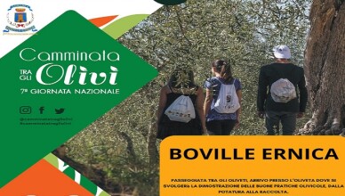 CAMMINATA TRA GLI ULIVI