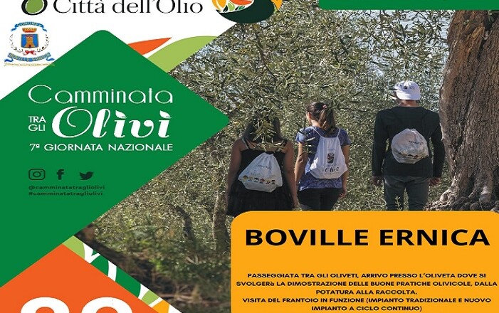 CAMMINATA TRA GLI ULIVI