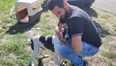 jek cane vigile