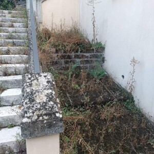 monumento ai caduti isola foto 4