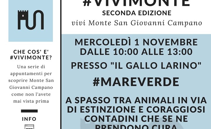 vivimonte 2023