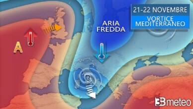 ARIA FREDDA